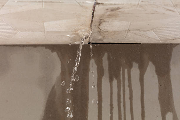 Professional Sewage Cleanup technician working in Land O'Lakes, FL